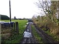 A muddy track in a field, Mullaghmore