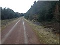 NH6677 : Forestry road near Strath Rory by Steven Brown