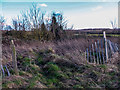 Fencing on edge of Farmland near Waltham Abbey, Essex