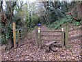 Llwybr Brandy Cove Path