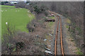 The Talyllyn Railway approaching Tywyn