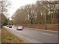 Derby Road alongside Wollaton Park