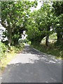 J2817 : Wooded section of the Ballymageogh Road by Eric Jones