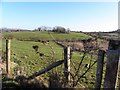 Killeenan Townland