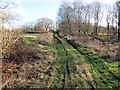 Llwybr Maes yr Ellyn Path