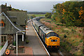 Excursion at Golspie