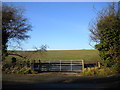 Field off Wolverhampton Road East, Ettingshall Park