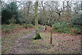 Green Chain Walk, Lesnes Abbey Wood