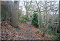 Lesnes Abbey Woods