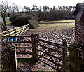 Muddy section of public footpath near Station Road, Raglan