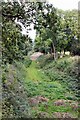 Bluebell Railway Track Bed