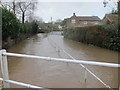 The Winford Brook suddenly rises up in Chew Magna