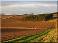 NT9438 : Ploughed fields near Hay Farm by Richard Webb