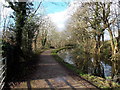 Disused canal and former towpath west of Pontymason Lane, Rogerstone, Newport