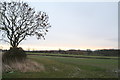 Looking northwards from Widmerpool Lane