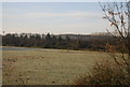 Farmland by the M11