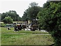 TM0533 : Cows Grazing Near Dedham Bridge by David Dixon