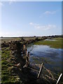 Footpath On The Flood Bank