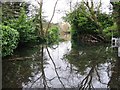 Floods in The Avenue