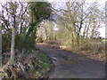 View into Thrift Wicket Lane near Hayton