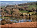 The River Culm in flood