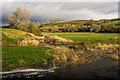 Looking over Burnfoot