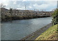 Pipe bridge over the River Taff, Upper Boat