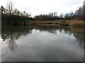 Fishing Lake at Silksworth Park