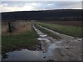 Farm track near Rothiebrisbane