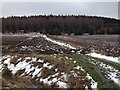 Farmland near Gartly Moor