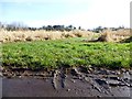 H4672 : Muddy ground, Mullaghmore by Kenneth  Allen