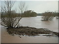 SO5618 : The Wye in flood, 3 by Jonathan Billinger