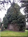 Remains of Norman Chapel in Quarndon