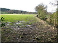 Footpath through grazing land