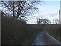 The road south of  Mear Farm