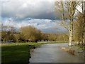 SP7211 : River Thame channels by Rob Farrow