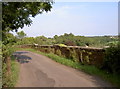 Wick Lane over the railway