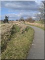 SE6144 : York to Selby cycle path by DS Pugh