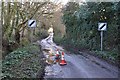 Mid Devon : Country Lane