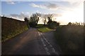 Mid Devon : Country Lane