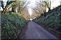 Mid Devon : Country Lane