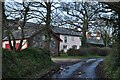 Mid Devon : Country Lane