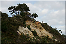 SZ0689 : Canford Cliffs, Dorset by Peter Trimming