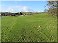 Nidderdale Way South of Lofthouse