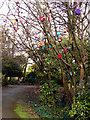 Decorated tree Moorside Park