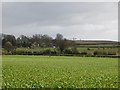 Arable land near Leominster