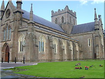 H8745 : St Patrick's CoI Cathedral, Armagh by Eric Jones