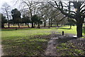 Open woodland path in Crystal Palace Park