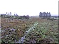 Waterlogged ground, Meenanea