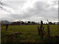 Looking towards Thurleston Lodge